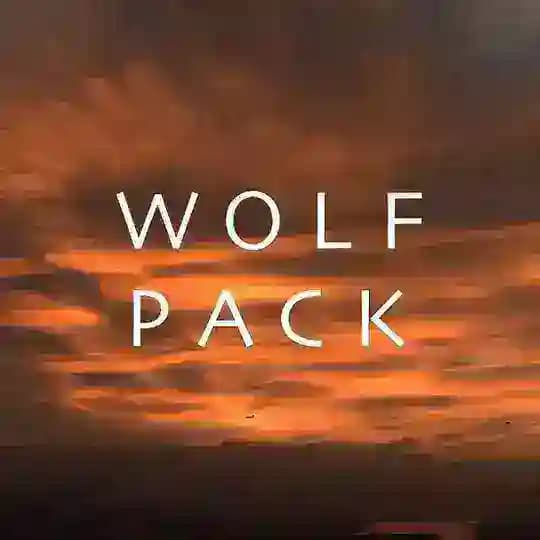 WOLF PACK 🇧🇷