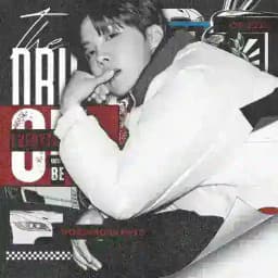 ㅤㅤWoord—Grafieken’s. Profile