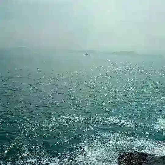 航海日记