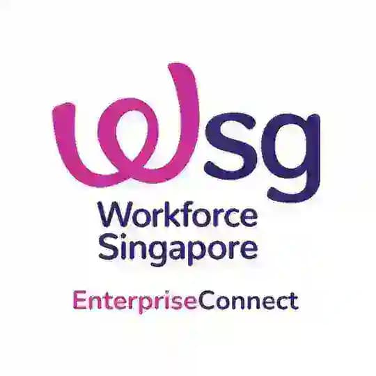 WSG EnterpriseConnect