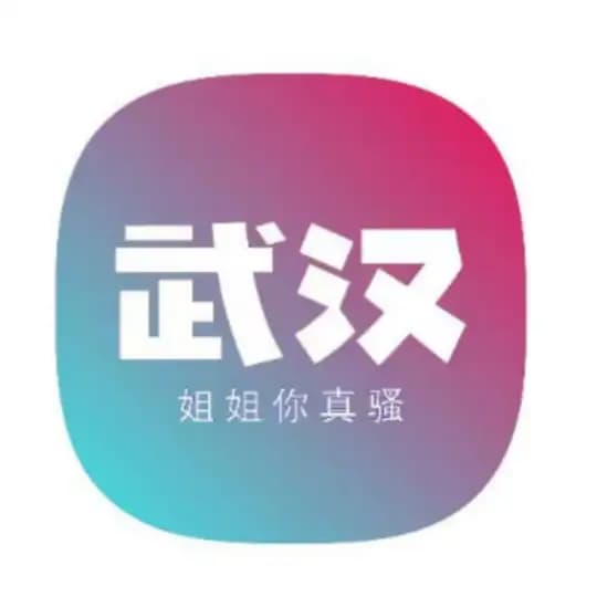 武汉大联盟老师榜 Profile