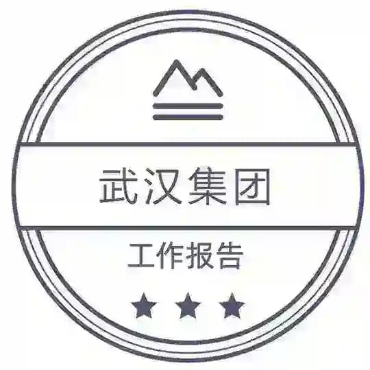 武汉集团报告