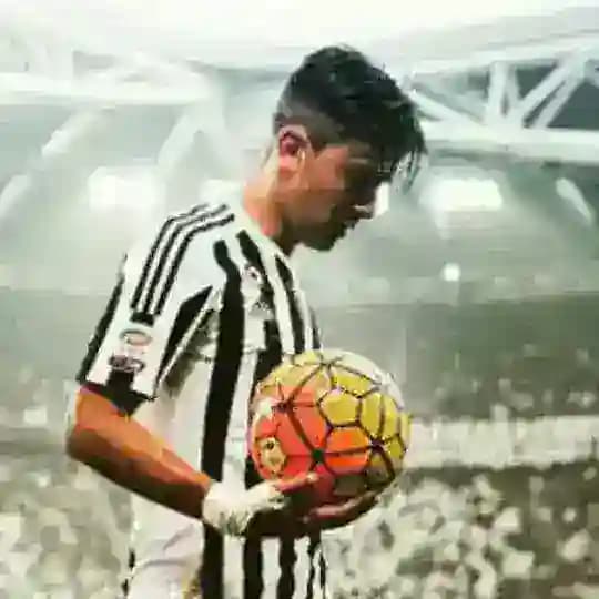 نظرسنجی آلپ Profile