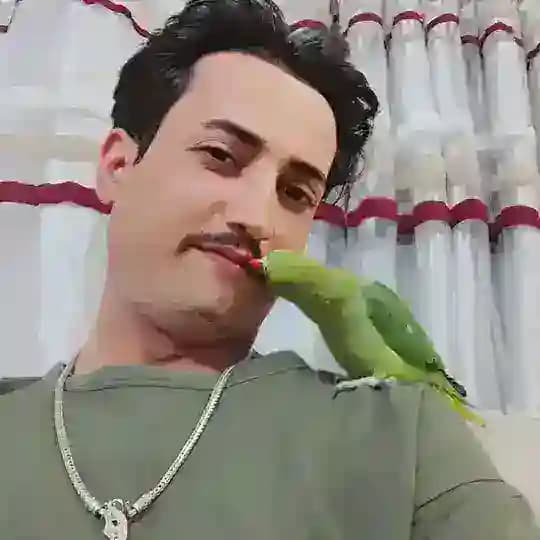 ﴿ قناة كلشي وكلآشي ꪆ ȷ ᒪɹ̇ ﴾