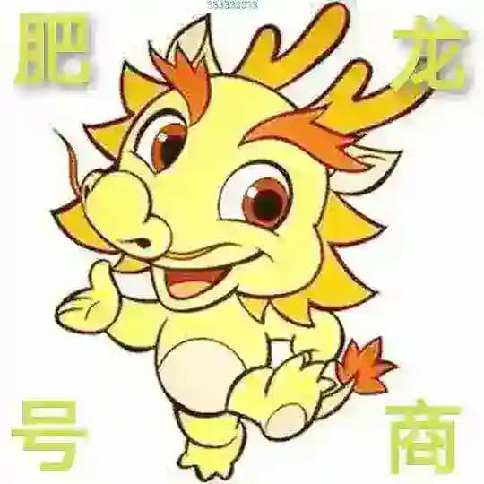 【肥龙】微信QQ抖音钉钉小红书WS