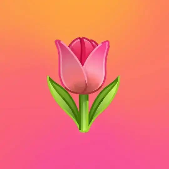 小火箭节点-小火箭翻墙 Profile