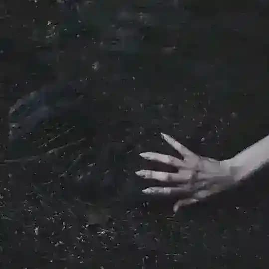 ضــيـاع Profile