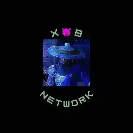 XπB Network