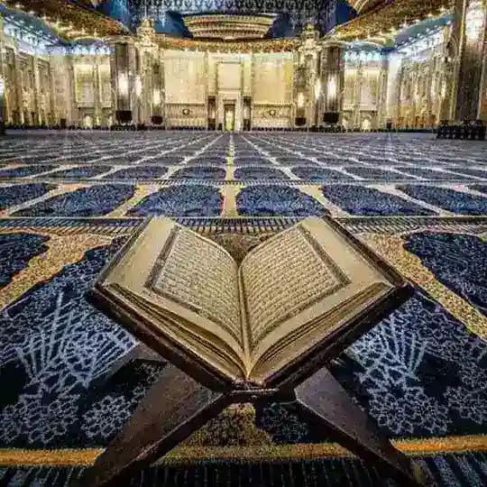 آيــٰــات قــُرآنــيــَّــة