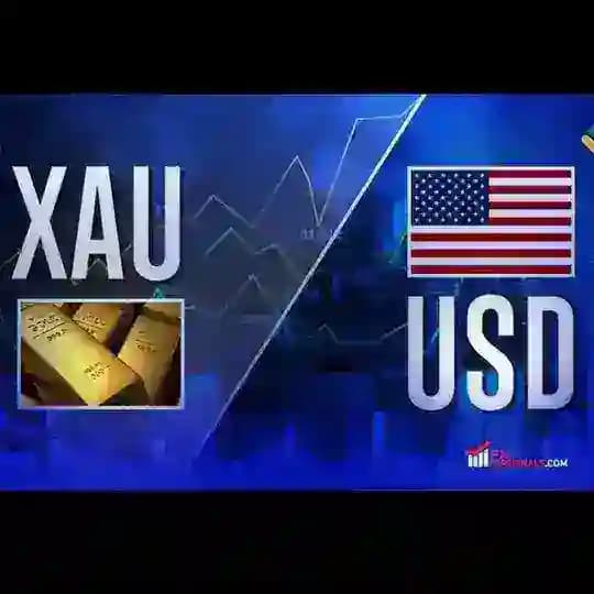 Fx signals🥇