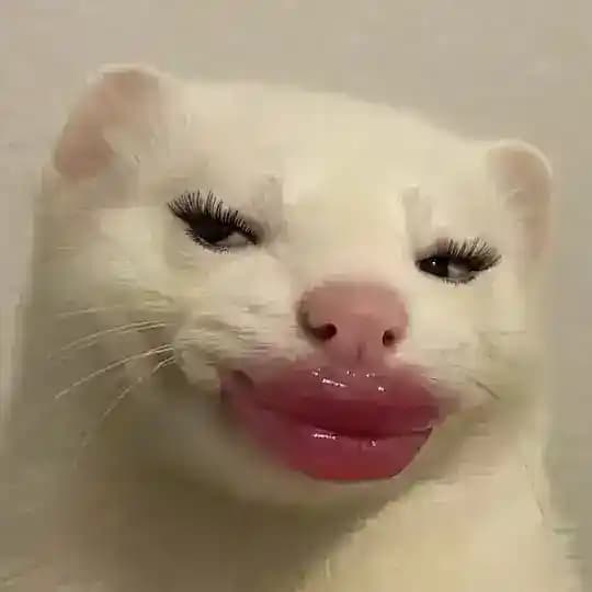 反差澀群