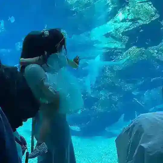 母愛🐾