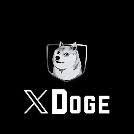 X Doge Portal