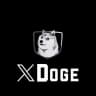 X Doge Portal
