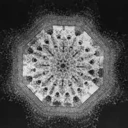 الحَمَاسَة Profile