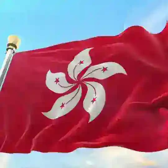 🇭🇰香港素材🇭🇰狗推素材|旅游|生活|美食|风景|购物|高清大图|taotu renshe xianggang