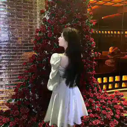 我的猫耳长在牙里