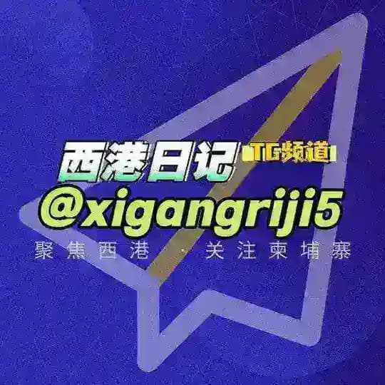 西港日记｜情报站｜24H