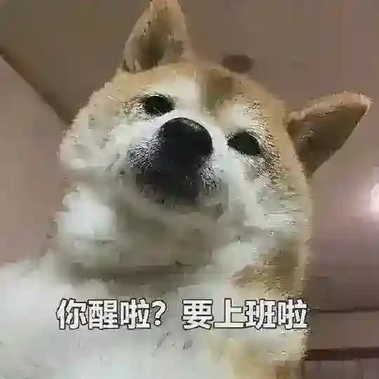 笑一笑十年少、内涵搞笑段子✨