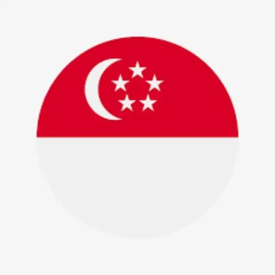 新加坡素材/生活素材/海外素材/人设素材