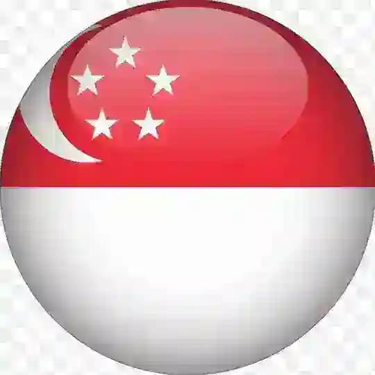 🇸🇬新加坡素材🇸🇬