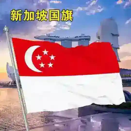 🇸🇬新加坡素材🇸🇬