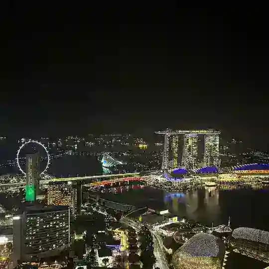 【新加坡素材】狗推素材|旅游|生活|美食|风景|购物|高清大图|xinjiapo renshe taotu