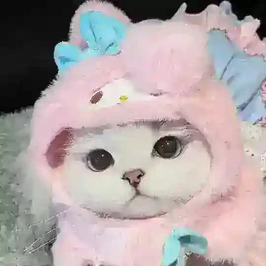 秀女阁