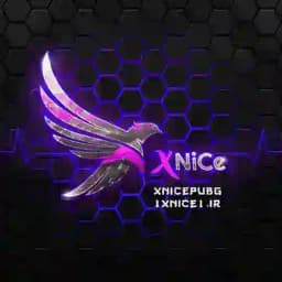XNiCe Profile
