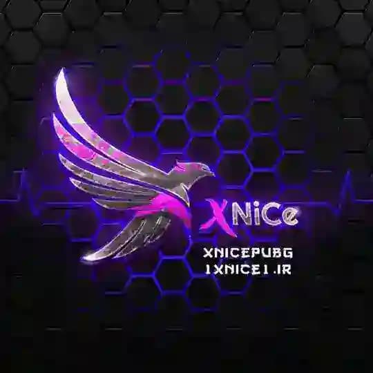 XNiCe Profile
