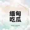 缅甸吃瓜缅北新闻曝光