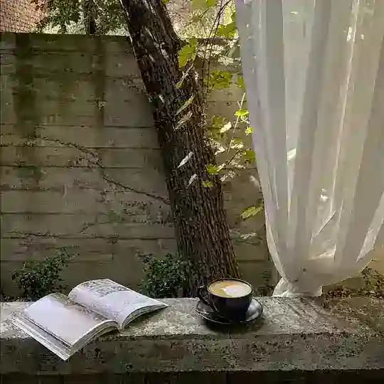 Qur’on xodimasi || خادمة القرآن
