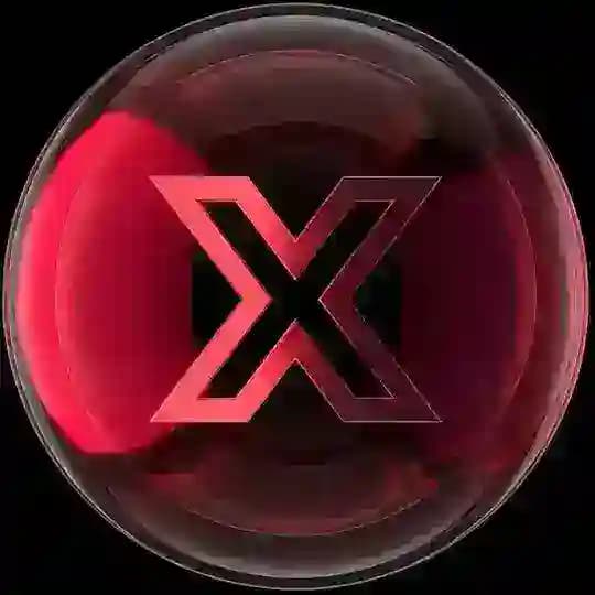 X Project