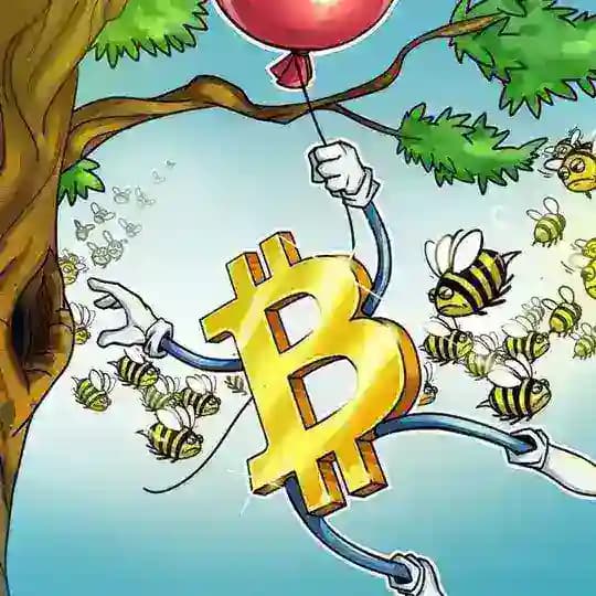 بیتکوین لایتکوین دوجکوین بایتکوین کوینکس تن