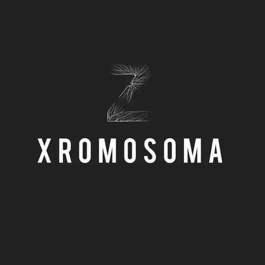 Хромосома Z