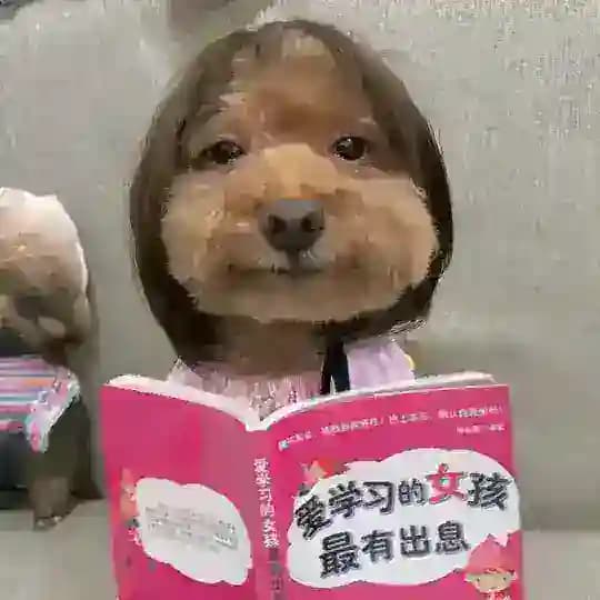 长沙小萱回忆录🙇🏻‍♀️ Profile