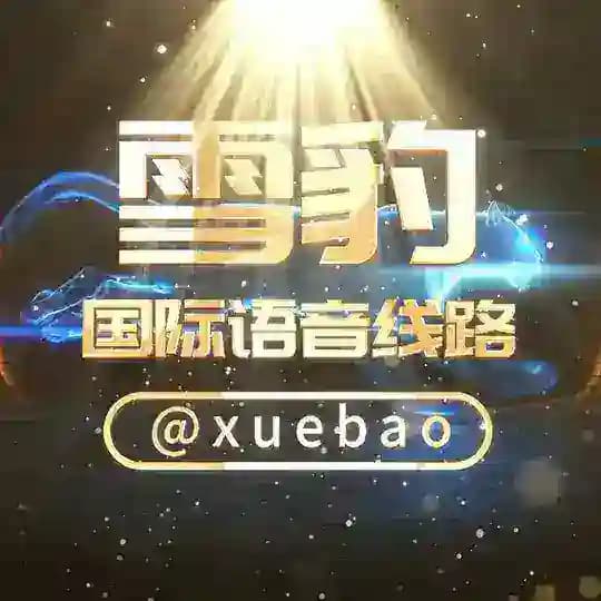［雪豹通信］电销 语音线路 语音包打粉 AI打粉 语音群呼 手拨 外呼系统 Profile