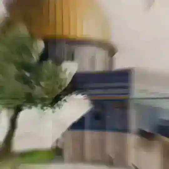 📚قـــلـب ًمــهــــجور ||«🌱