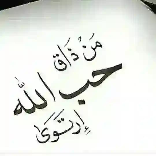 القران الكريم