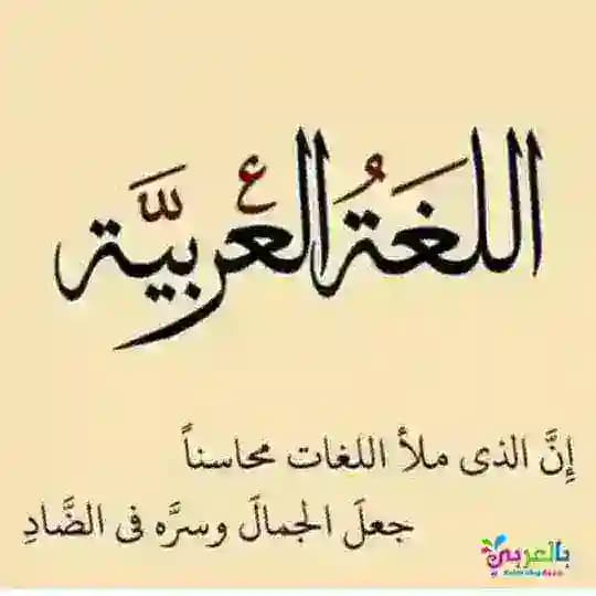 قناة اللغه العربية