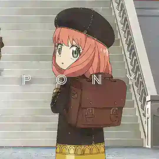 محافظ پونی | pony
