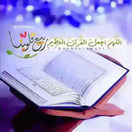 خيره مجانيه بل قران الكريم Profile