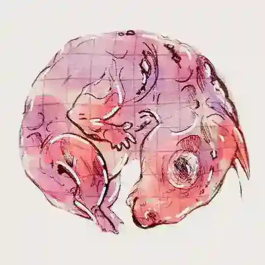 Hel🪰