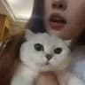 伊娃廢文區