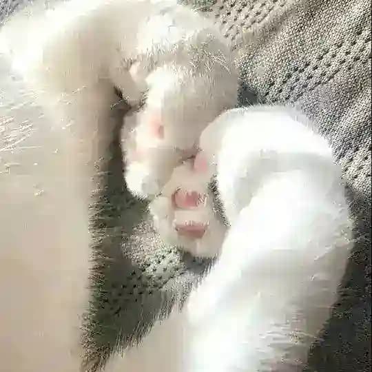 ادعيه قرانيه ، ايات ، قران ، القران الكريم 🤍