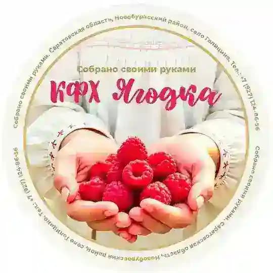 КФХ Ягодка