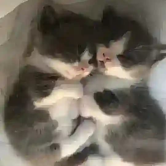 люблю
