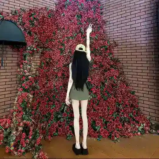 瑶瑶的后花园