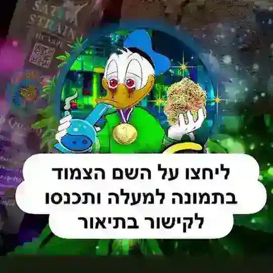 מרכז והשרון 10 250 10-300