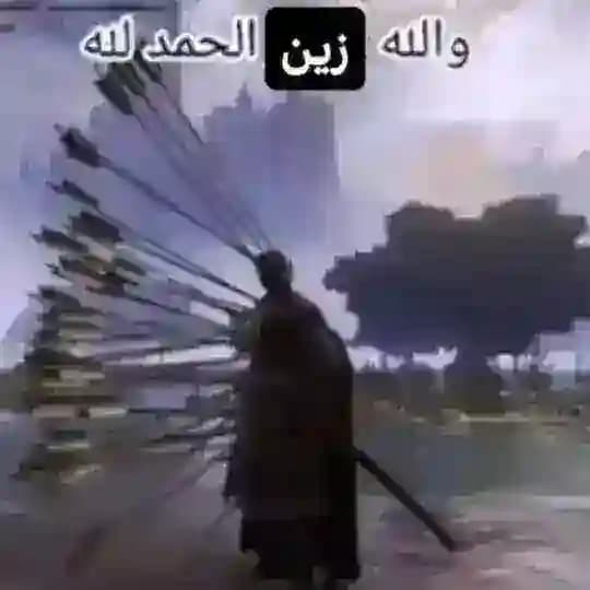 ميمزجي